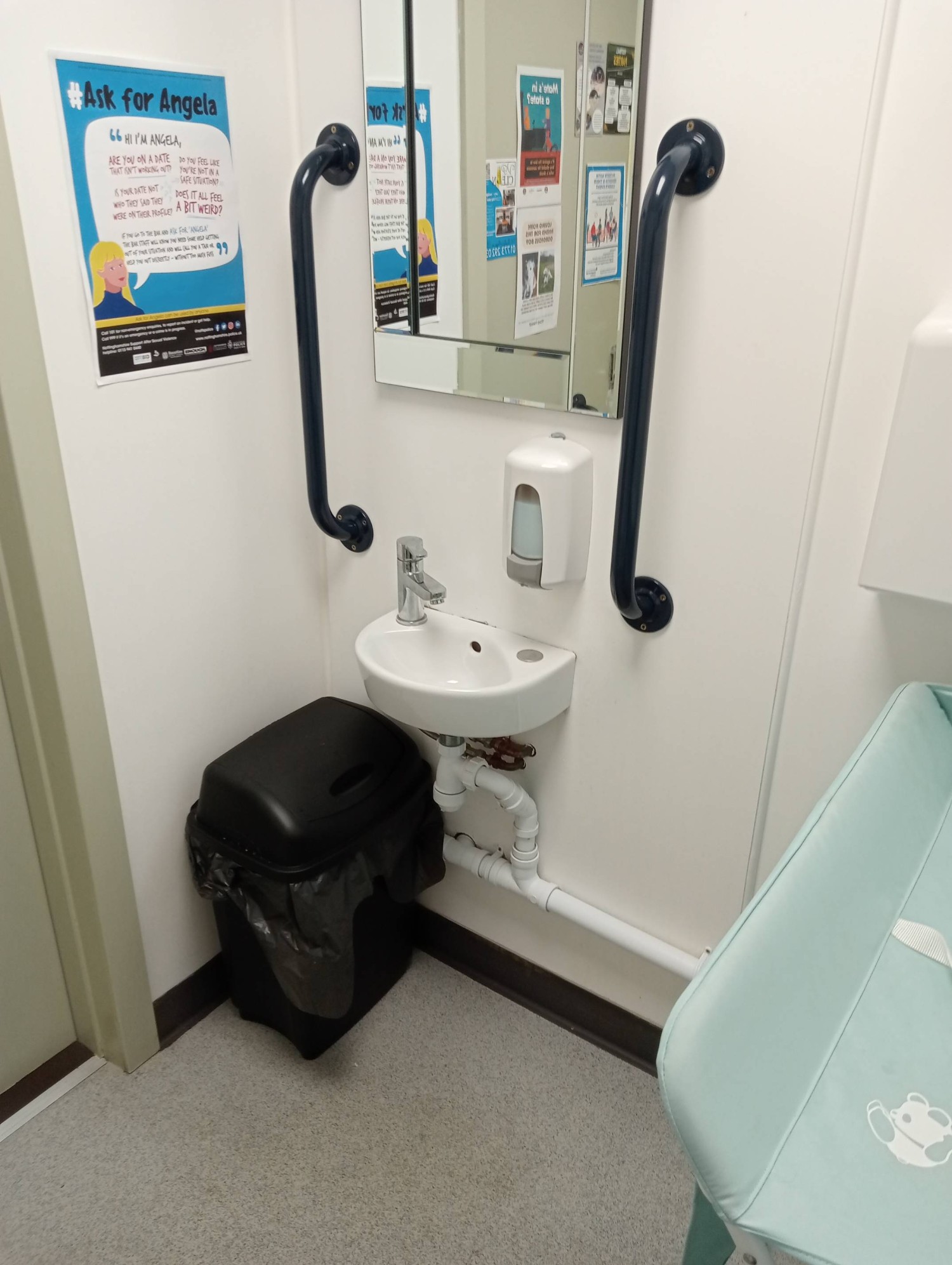 Low level basin, paper towel dispenser and door handle. Grab rails to basin and toilet.