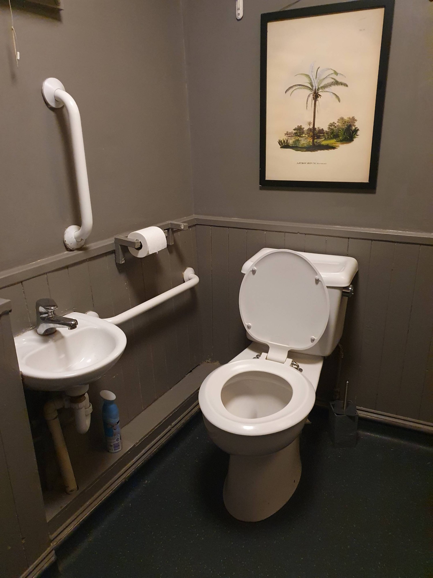 Grab rails and low sink