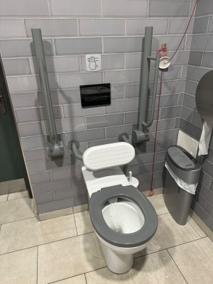 Toilet with swipe flush and handles on both side for easy use