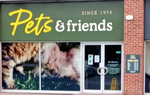 This is the double doors to the pet shop.

It is glass panal with silver handles.