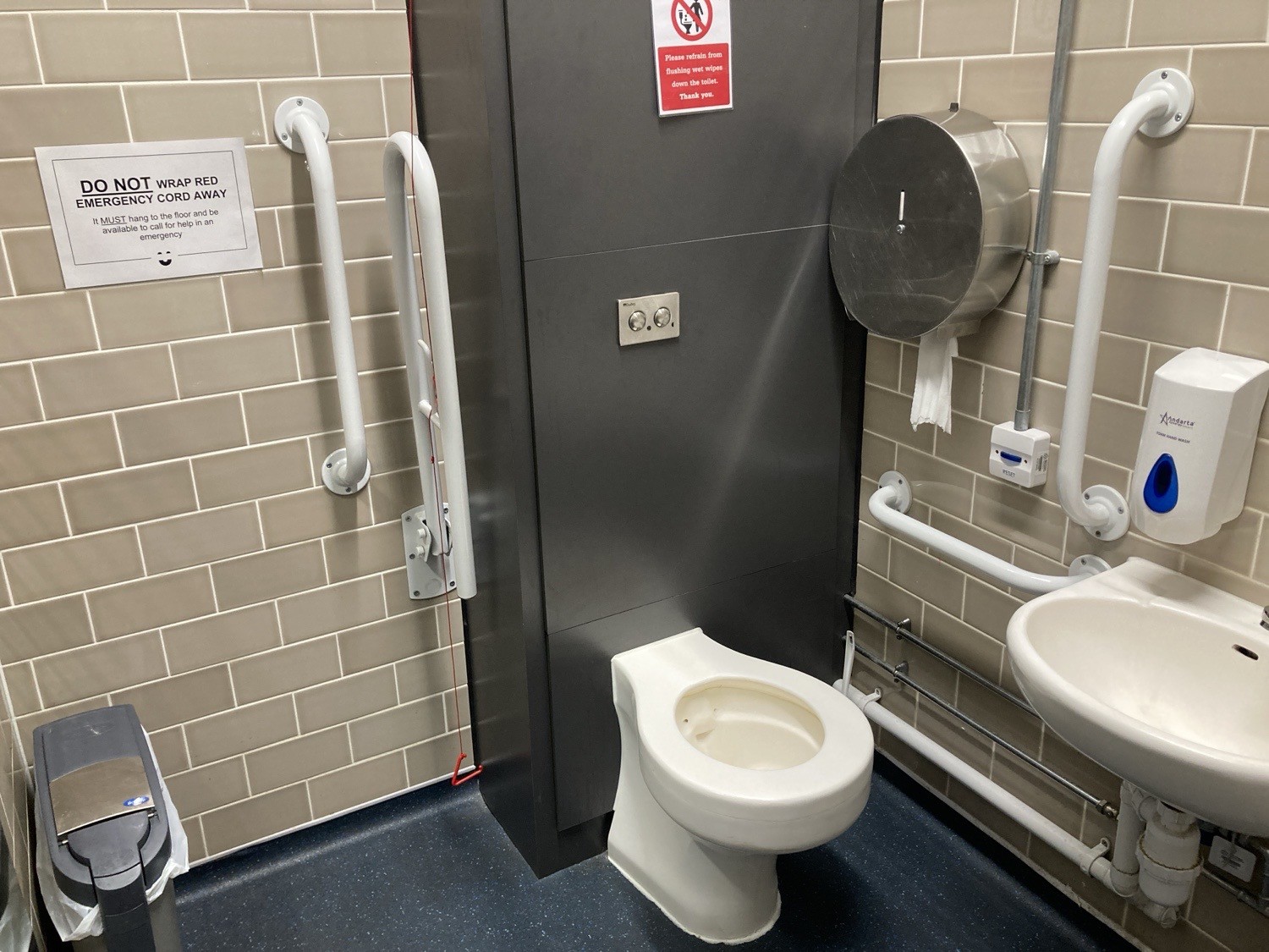Inside cubicle with toilet, low sink, grab rails and sanitary bin