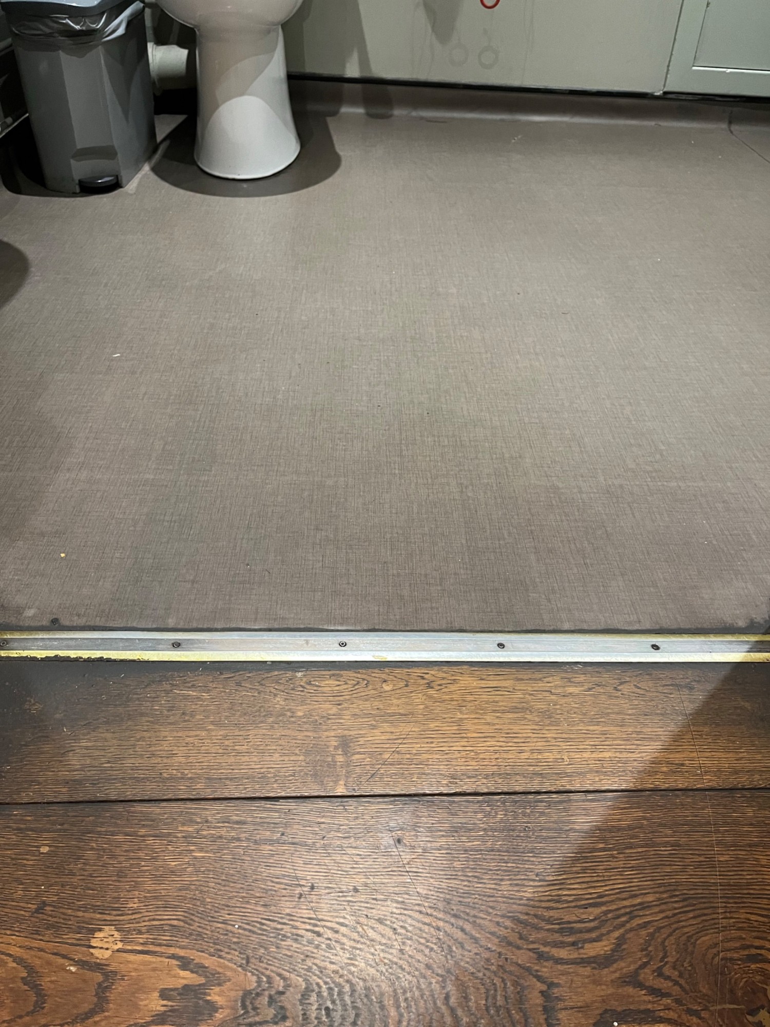 The entrance into the accessible toilet is level, but there is a metal strip