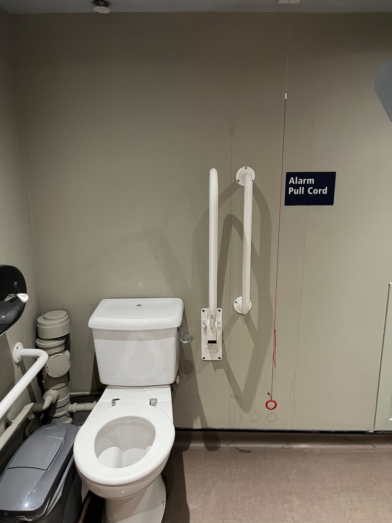 The toilet, bin, grab handles and red cord viewed from the door