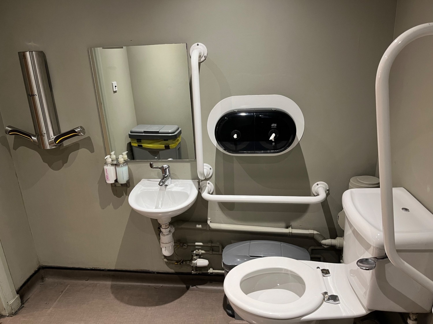 The toilet area on the right, with the lowered sink and hand dryer. There are multiple grab rails around the toilet