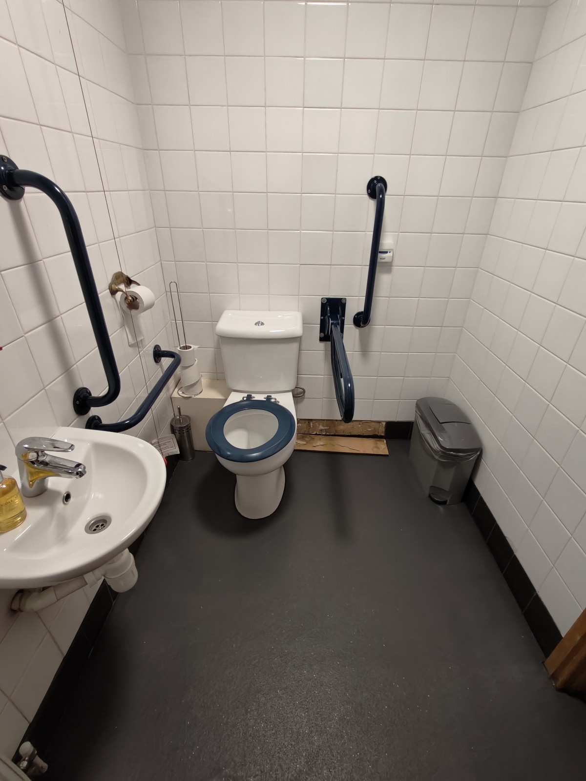 From door facing right. Sink on left. Toilet at back left. Pull cord to its left.
