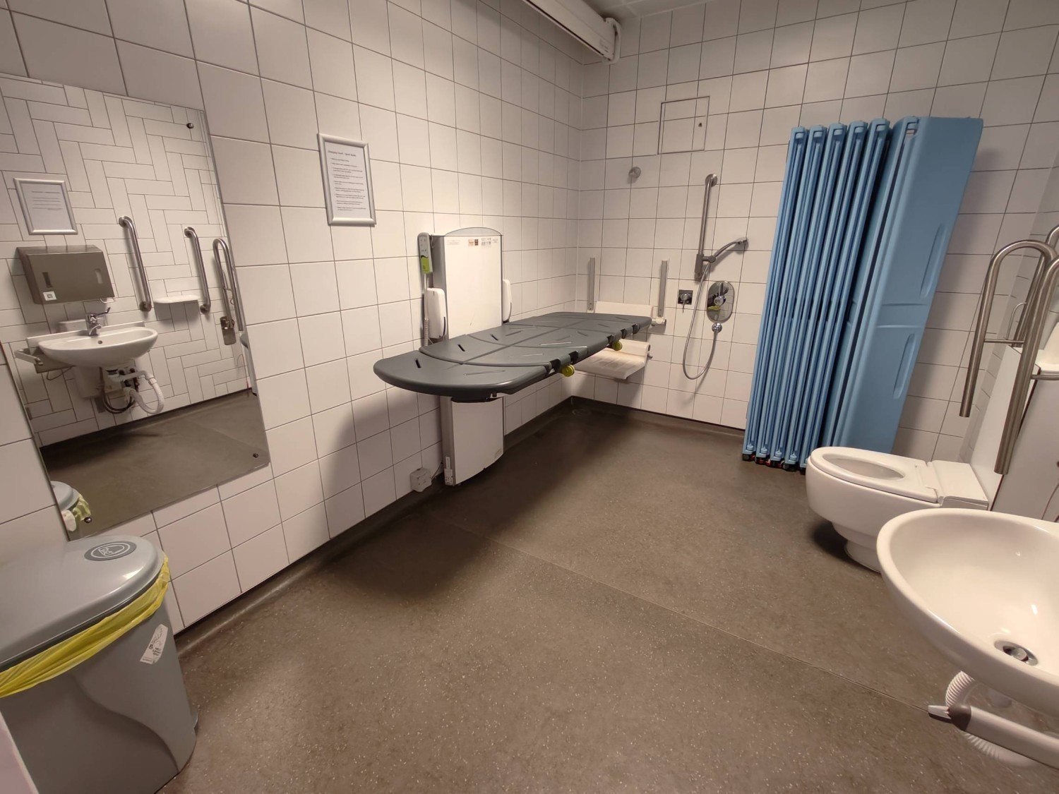 From door facing straight. Bin & mirror on left. Changing table on back left. Shower behind it. Divider at back. Toilet on back right. Sink on right.