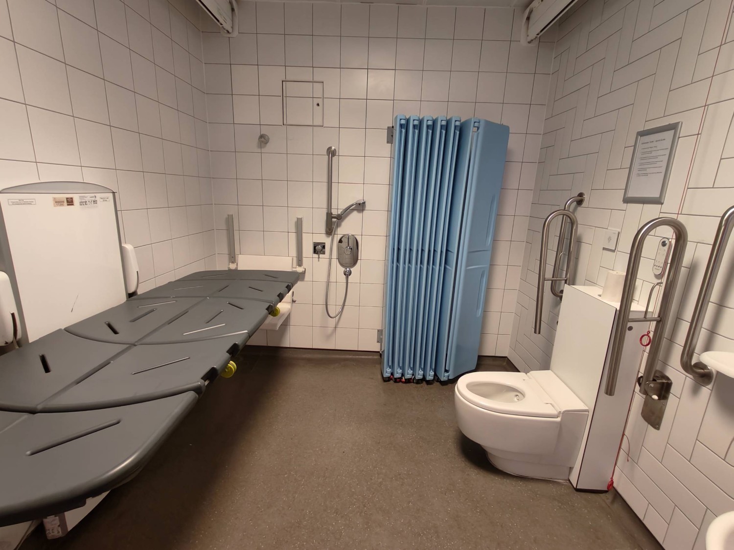 From entry facing straight. Changing table on left. Shower area on back left. Divider on back right. Toilet on right. Pull cord right of toilet.