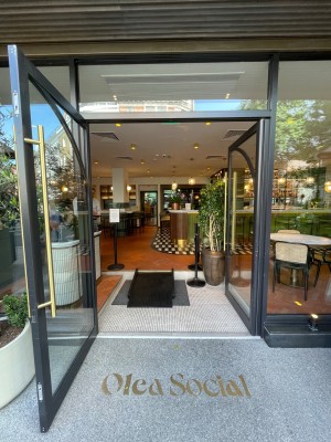 Black glass double door with long handle in centre, push or pull to open. Plants at left.