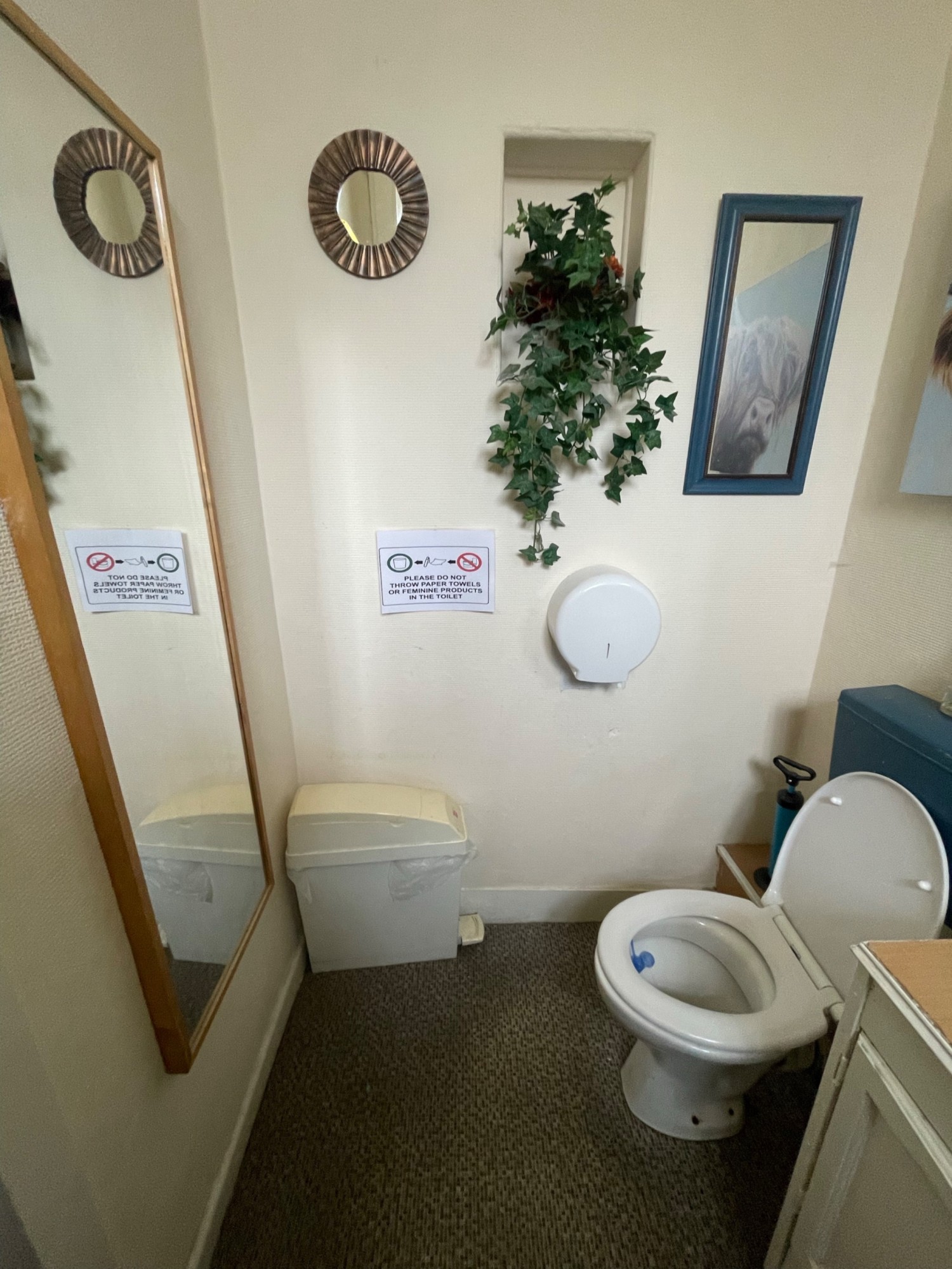 From door looking left. Full body mirror on left. Toilet in back right.