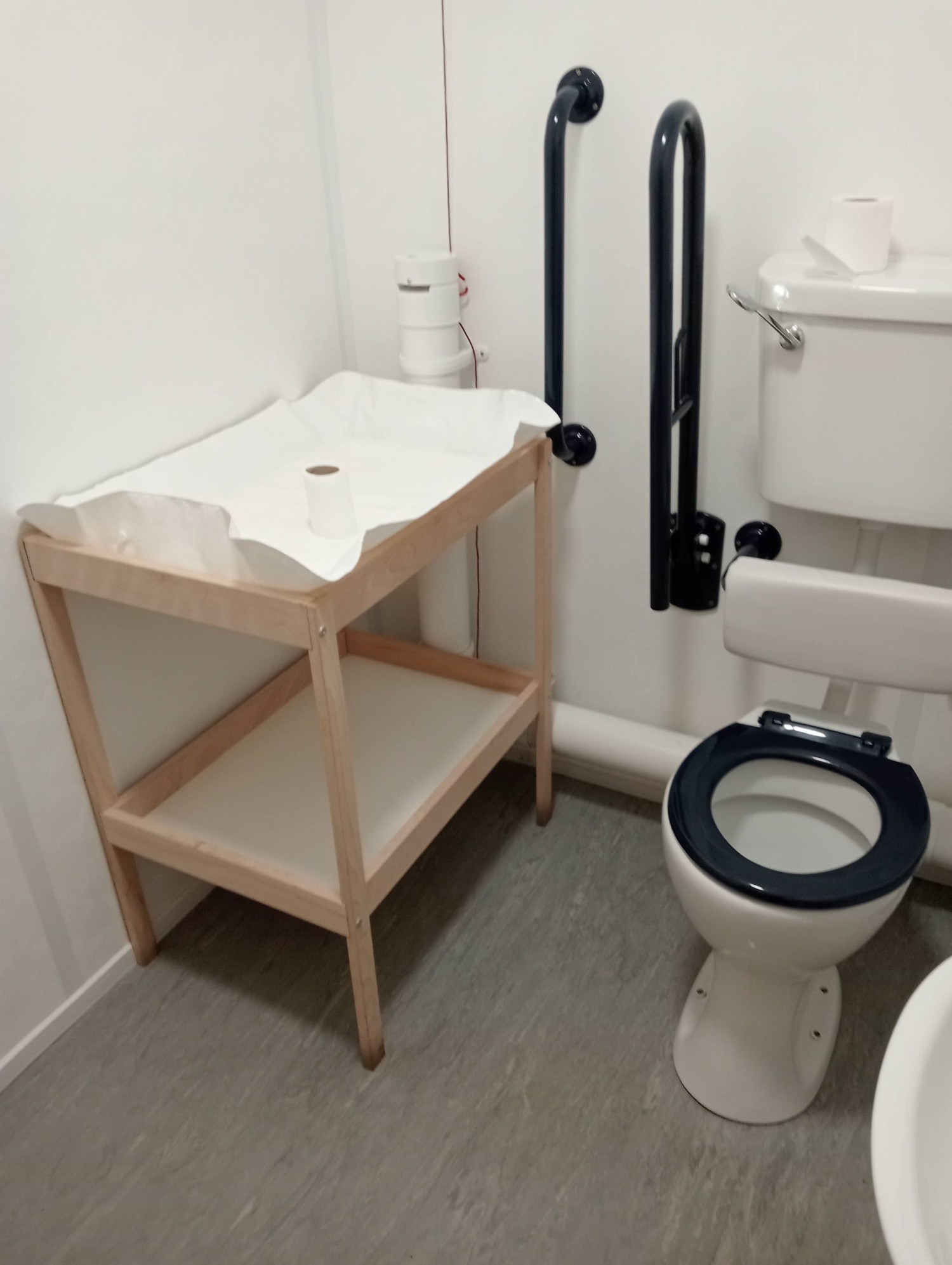 Disabled toilet